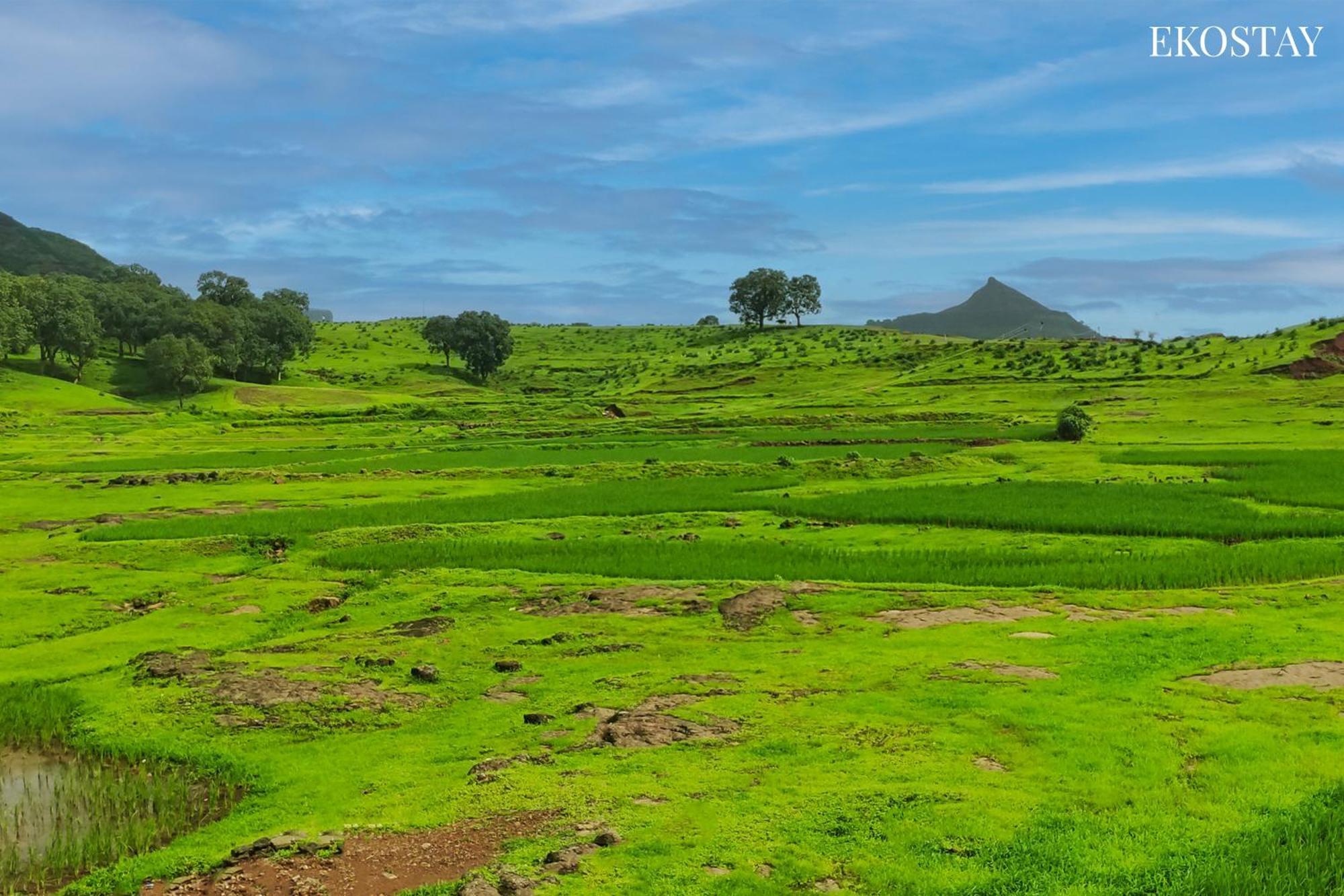 Ekostay - Neptune Villa Igatpuri Exterior photo